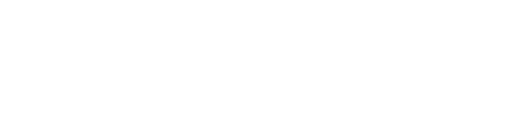 Noe Fleitas Design